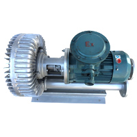 ����ַ���ʽ���з��